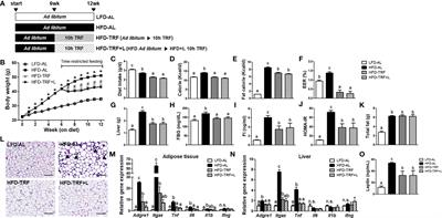 Time-restricted feeding reduces monocyte production by controlling hematopoietic stem and progenitor cells in the bone marrow during obesity